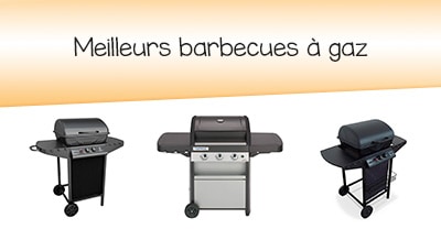 Bien choisir un barbecue à gaz Bien choisir un barbecue à gaz