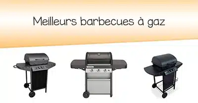 Bien choisir un barbecue à gaz